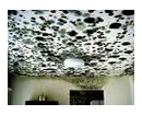 mold inspection ceiling